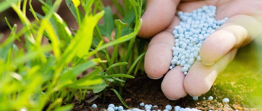 Modern agriculture and fertilizer application